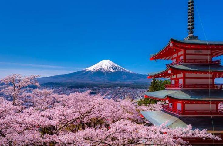 【日本 一人成團系列】富士山河口湖絕景一日遊：新倉山淺間公園＆大石公園＆西湖療癒之鄉 （含習字體驗）・品川&新宿出發