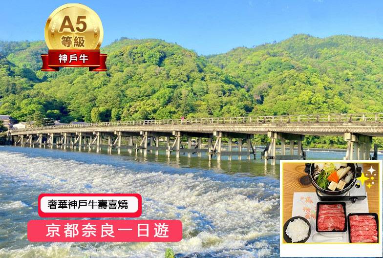 【日本 一人成團系列】京都奈良一日遊：嵐山、伏見稻荷、奈良公園｜含A5奢華神戶牛壽喜燒｜大阪&京都出發