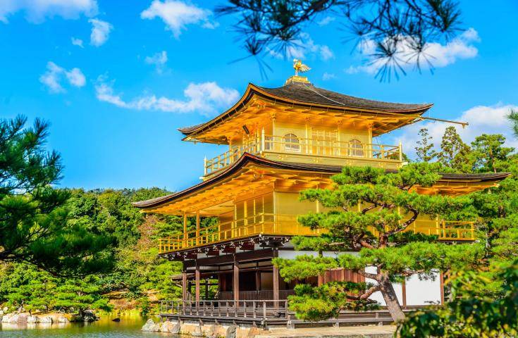 【日本 一人成团系列】京都、奈良【东大寺、金阁寺、岚山】京都豆腐料理美食 1天团