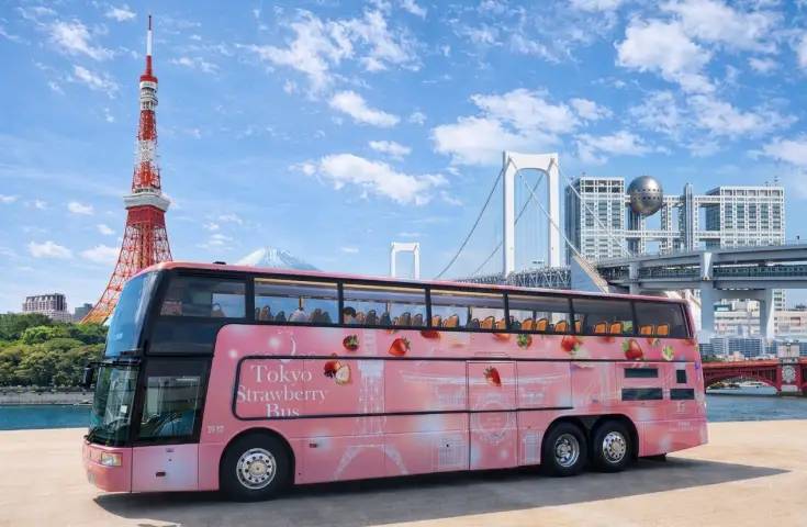 2026東京草莓巴士~附贈豪華草莓BOX♪ 敞篷頂座｜海灣路線01O-5424-H1｜18:50發車