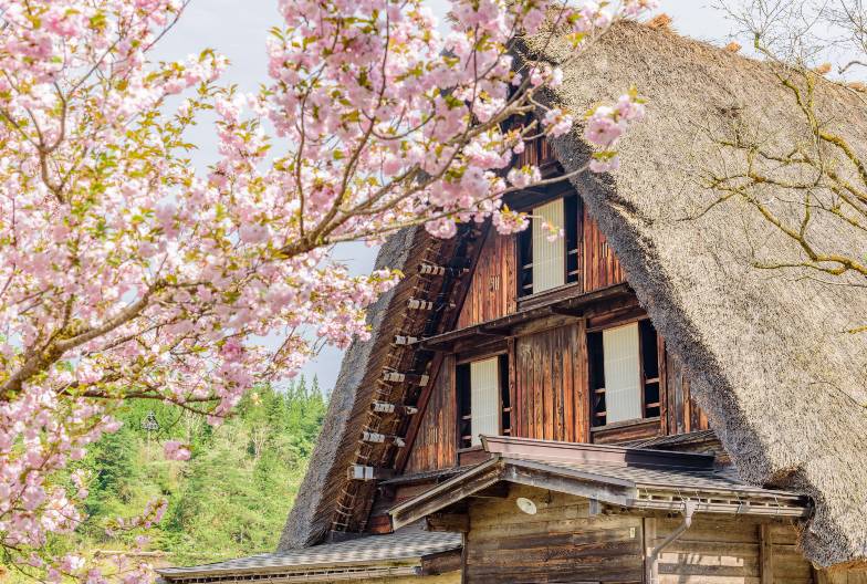 【日本 一人成團系列】高山白川鄉一日遊：漫步高山古街、探訪合掌村｜含暖心關東煮(素)｜名古屋出發