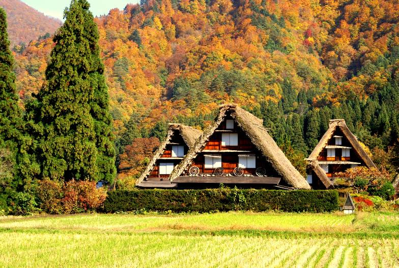 【日本 一人成團系列】高山白川鄉一日遊：漫步高山古街、探訪合掌村｜含嚴選飛驒旨豚｜名古屋出發