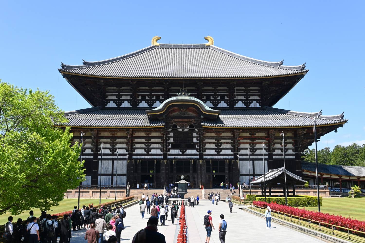 【日本 一人成团系列】京都、奈良【东大寺、金阁寺、岚山】京都豆腐料理美食 1天团
