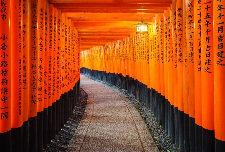 【日本 一人成團系列】京都奈良經典一日遊：金閣寺、嵐山、伏見稻荷、奈良公園｜含頂級和牛神戶牛涮涮鍋｜大阪出發