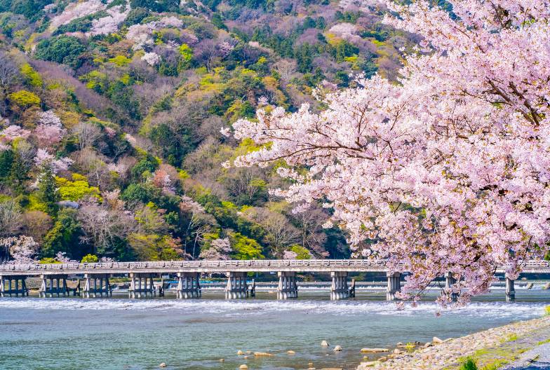 【京都世界遺產一日遊】金閣寺＆嵐山＆三十三間堂＆清水寺＆含A5 頂級和牛 神戶牛壽喜燒丼｜大阪難波・京都出發