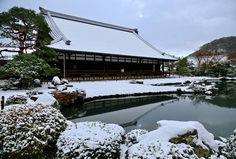 【京都世界遺產一日遊】金閣寺＆嵐山＆三十三間堂＆清水寺＆含頂級和牛神戶牛涮涮鍋｜大阪難波・京都出發