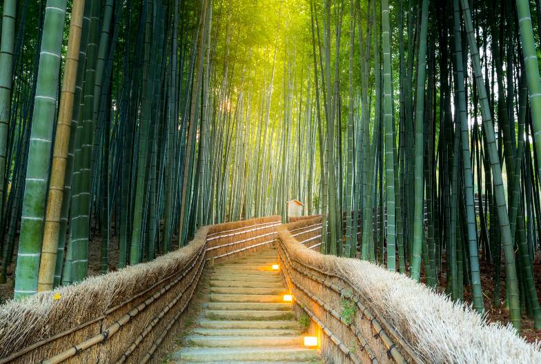 【京都世界遺產一日遊】金閣寺＆嵐山＆三十三間堂＆清水寺＆含頂級和牛神戶牛涮涮鍋｜大阪難波・京都出發