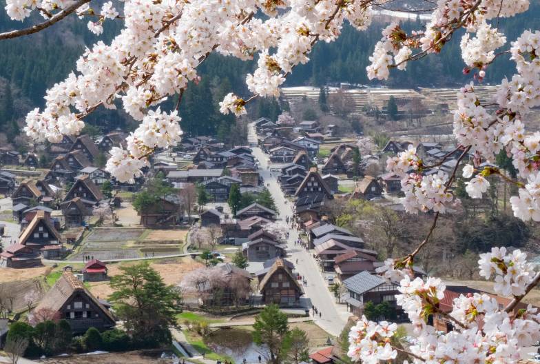 【日本 一人成團系列】高山白川鄉一日遊：漫步高山古街、探訪合掌村｜名古屋出發