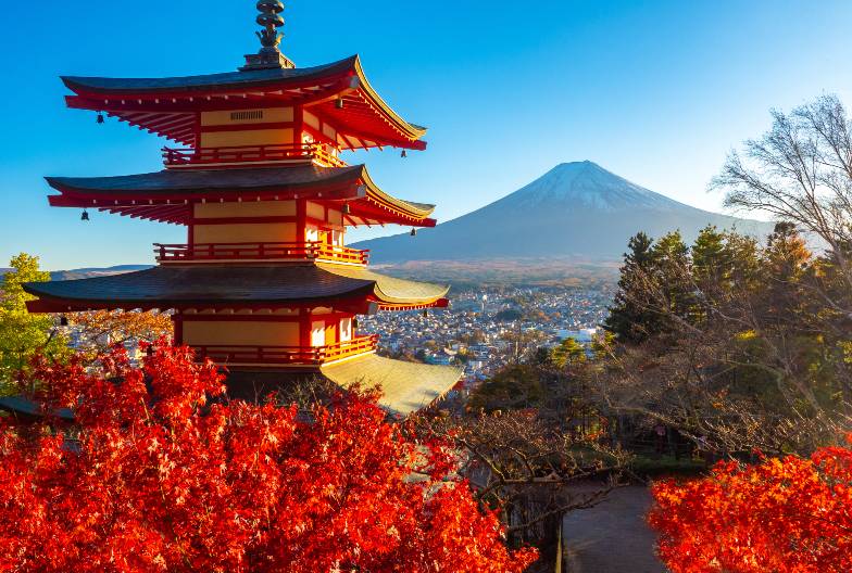 【日本 一人成團系列】富士山河口湖絕景一日遊：新倉山淺間公園＆大石公園＆西湖療癒之鄉 （含頂級神戶牛涮涮鍋）