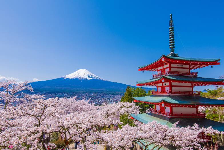 【日本 一人成團系列】富士山河口湖絕景一日遊：新倉山淺間公園＆大石公園＆西湖療癒之鄉 （含山梨名物餺飥）