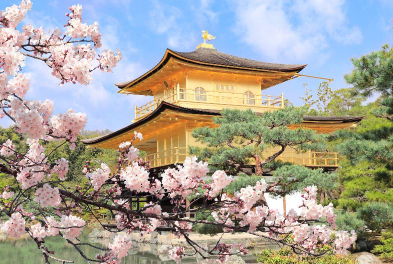 【京都世界遺產一日遊】金閣寺＆嵐山＆三十三間堂＆清水寺＆含A5 頂級和牛 神戶牛壽喜燒丼｜大阪難波・京都出發