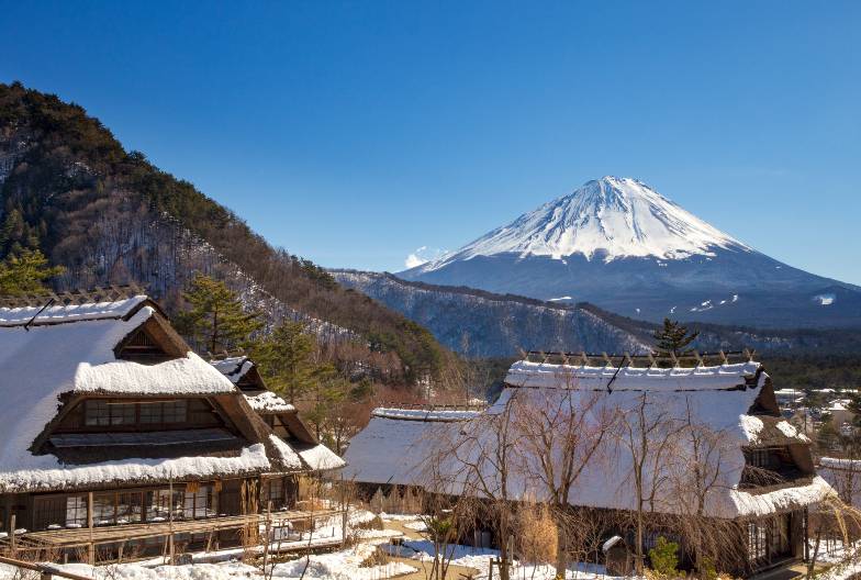 【日本 一人成團系列】富士山河口湖絕景一日遊：新倉山淺間公園＆大石公園＆西湖療癒之鄉 （含山梨名物餺飥）