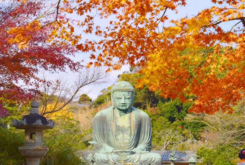 【鎌倉江之島經典一日遊】鶴岡八幡宮＆小町通＆鎌倉大佛＆長谷寺 ｜池袋・新宿出發