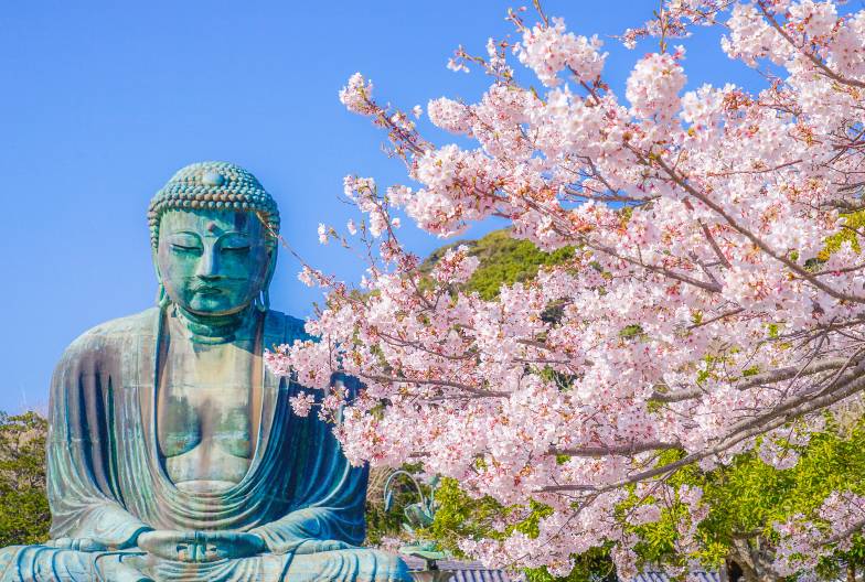 【鎌倉江之島經典一日遊】鶴岡八幡宮＆小町通＆鎌倉大佛＆長谷寺 ｜池袋・新宿出發
