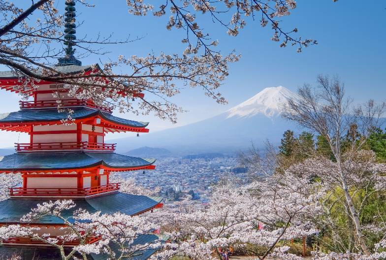 【日本 一人成團系列】富士山河口湖絕景一日遊：新倉山淺間公園＆大石公園＆西湖療癒之鄉 （含日本國產紅酒牛排）