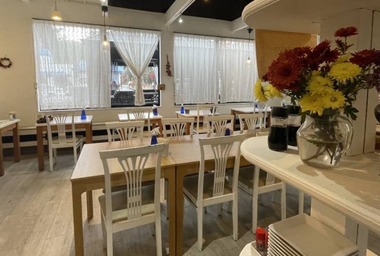 高速長途巴士 VIP Liner｜成人・單程票｜秋葉原・東京站→河口湖・湖龍飯店・河口湖Craft Park・富士大石花園平台