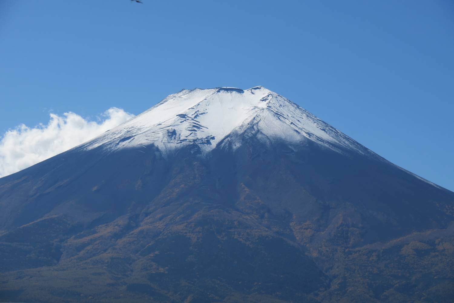 【日本 一人成團系列】新宿出發 富士山五合目、河口湖、忍野八海 、御殿場Outlet、 烏冬麵美食 1天團
