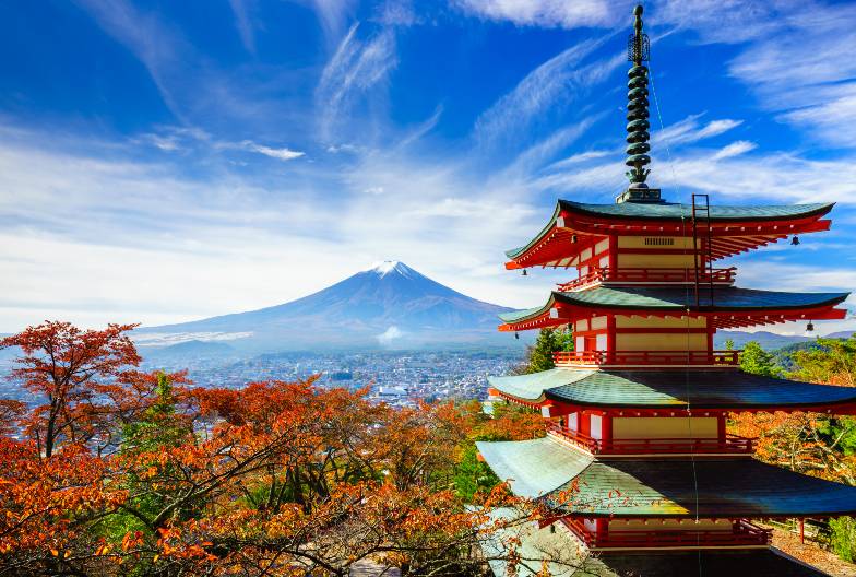 【日本 一人成團系列】富士山河口湖絕景一日遊：新倉山淺間公園＆大石公園＆西湖療癒之鄉 （含日本國產紅酒牛排）