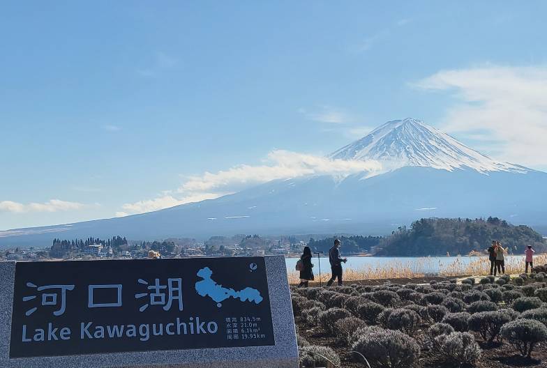 【日本 一人成團系列】富士山河口湖絕景一日遊：新倉山淺間公園＆大石公園＆西湖療癒之鄉 （含日本國產紅酒牛排）