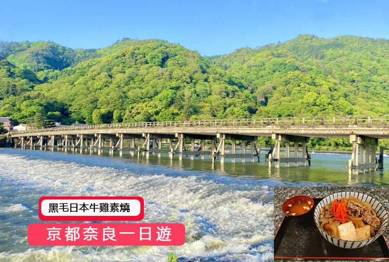 【日本 一人成團系列】京都奈良經典一日遊：嵐山、伏見稻荷、奈良公園｜含黑毛日本牛雞素燒｜大阪&京都出發