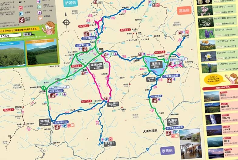 尾瀨國立公園一日遊直達・尾瀨濕原花海・鳩待峠輕鬆健行 (充裕自由時光)｜新宿出發