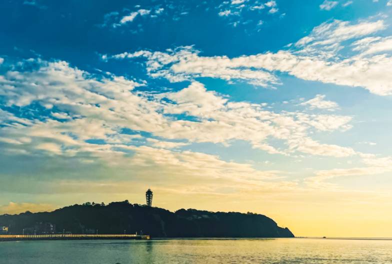 【鎌倉江之島經典一日遊】鶴岡八幡宮＆小町通＆鎌倉大佛＆長谷寺 ｜池袋・新宿出發