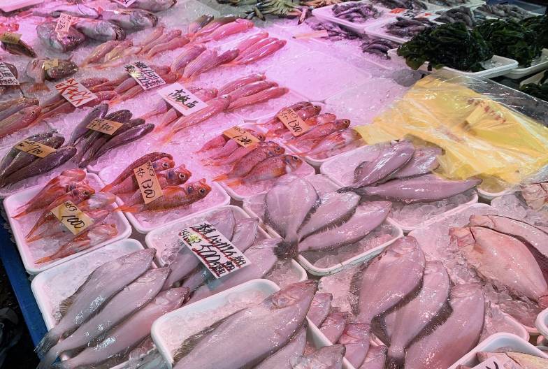 【春季茨城粉蝶花一日遊】常陸海濱公園・那珂湊魚市場・採草莓吃到飽 ｜新宿出發