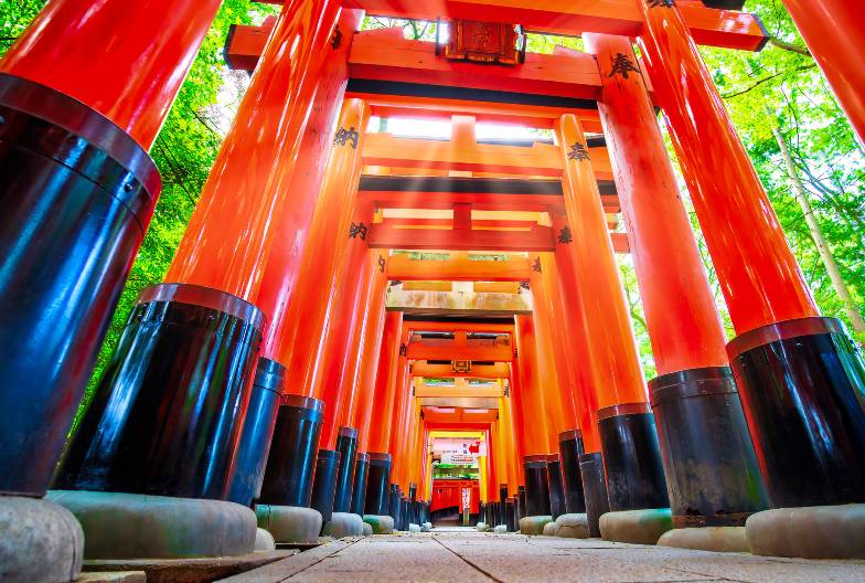 【嵐山奈良一日遊】暢遊嵐山、奈良公園、伏見稻荷＆含頂級和牛神戶牛涮涮鍋｜大阪難波・京都出發