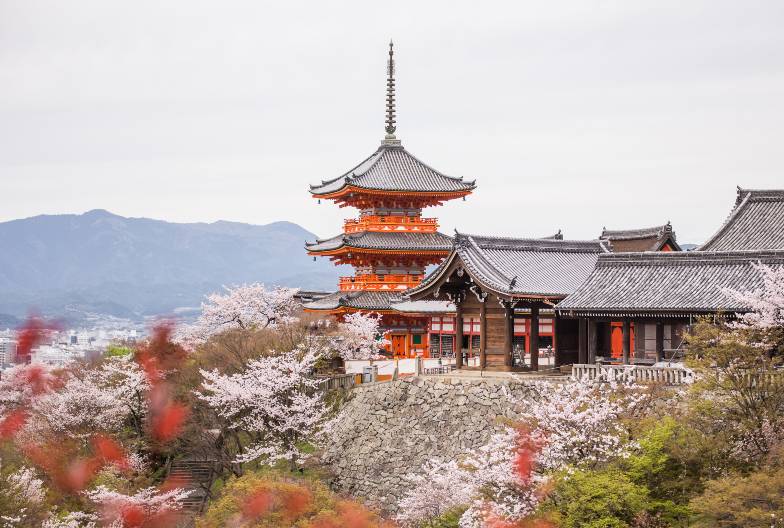 【京都世界遺產一日遊】金閣寺＆嵐山＆三十三間堂＆清水寺＆含美味豬肉涮涮鍋｜大阪難波・京都出發