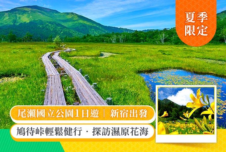 尾瀨國立公園一日遊直達・尾瀨濕原花海・鳩待峠輕鬆健行 (充裕自由時光)｜新宿出發