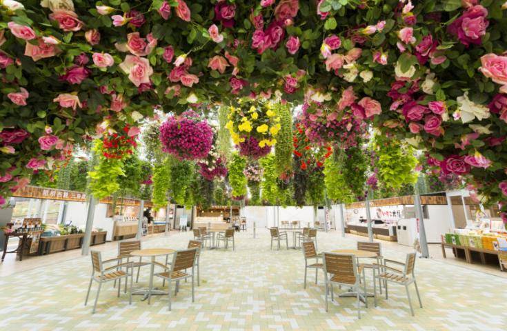 【沼津伊豆一日遊】海鮮濱燒｜草莓採摘吃到飽・橫濱出發