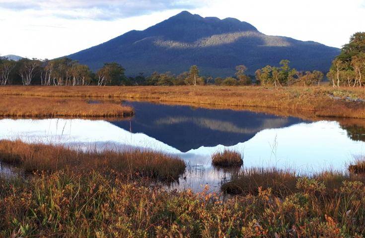 尾瀨國立公園一日遊直達・尾瀨濕原花海・鳩待峠輕鬆健行 (充裕自由時光)｜新宿出發