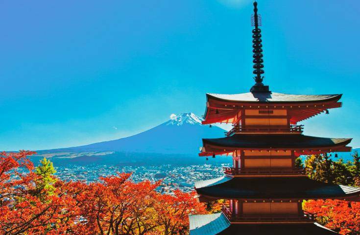 【日本 一人成團系列】富士山河口湖絕景一日遊：新倉山淺間公園＆大石公園＆西湖療癒之鄉 （含習字體驗）・品川&新宿出發