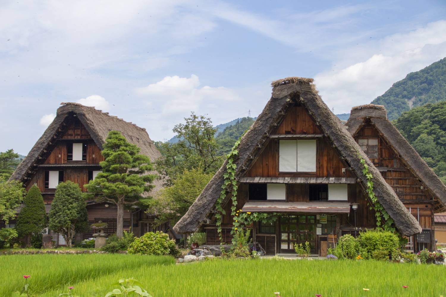 【名古屋出發】高山古街、白川鄉合掌村、飛驒牛美食一天團