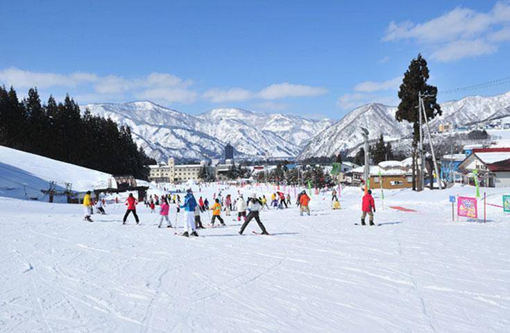 【日本 一人成團系列】夜間出發 越後湯澤滑雪場一日遊：｜滑雪｜東京&新宿出發