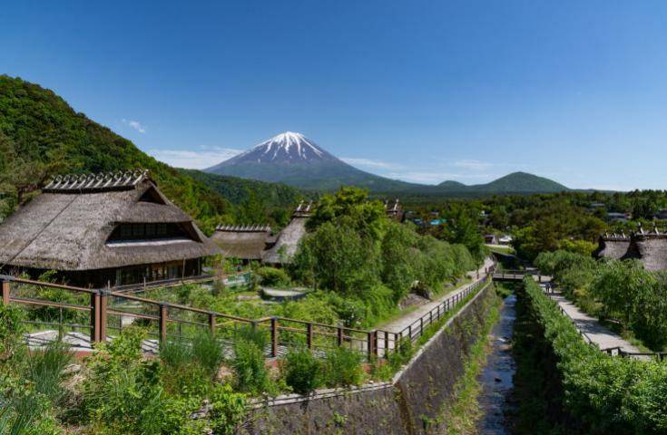 【日本 一人成團系列】新宿出發  富士河口湖、西湖合掌村、甲州葡萄酒和牛美食 1天團