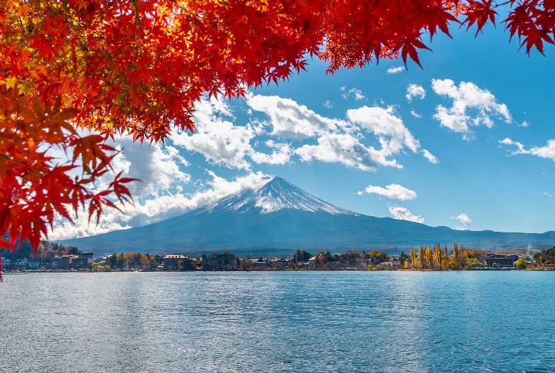 【日本 一人成團系列】富士山經典一日遊：富士山五合目＆河口湖＆忍野八海＆御殿場 Outlet｜含山梨名物餺飥｜上野・新宿出發