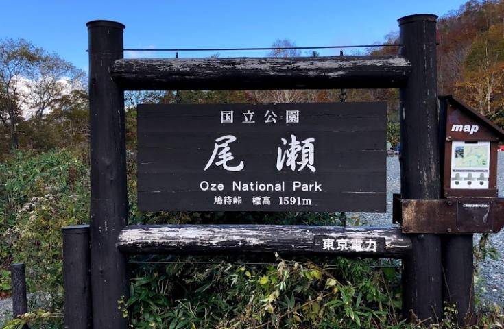 尾瀨國立公園一日遊直達・尾瀨濕原花海・鳩待峠輕鬆健行 (充裕自由時光)｜新宿出發