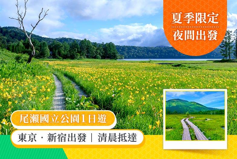 【夏季限定・夜間出發】尾瀨國立公園夜行健行｜清晨抵達・超長停留約9小時・回程溫泉 ｜新宿出發