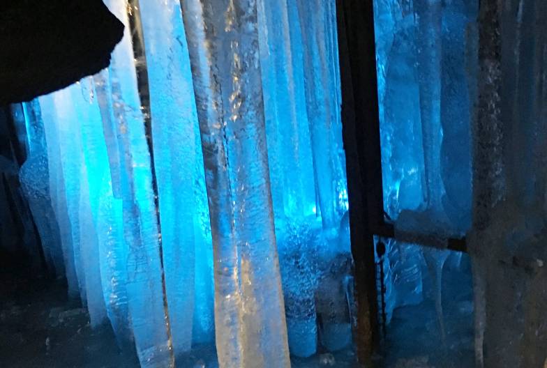 【富士山網紅景點一日遊】鳴澤冰穴＆河口湖 LAWSON＆山中湖天鵝船｜上野・新宿出發