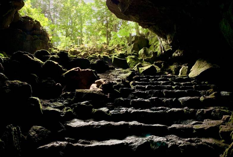 【富士山網紅景點一日遊】鳴澤冰穴＆河口湖 LAWSON＆山中湖天鵝船｜上野・新宿出發