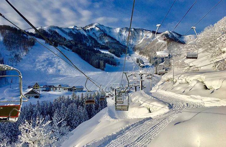 【日本 一人成團系列】神立滑雪度假村一日遊：｜滑雪｜東京新宿出發