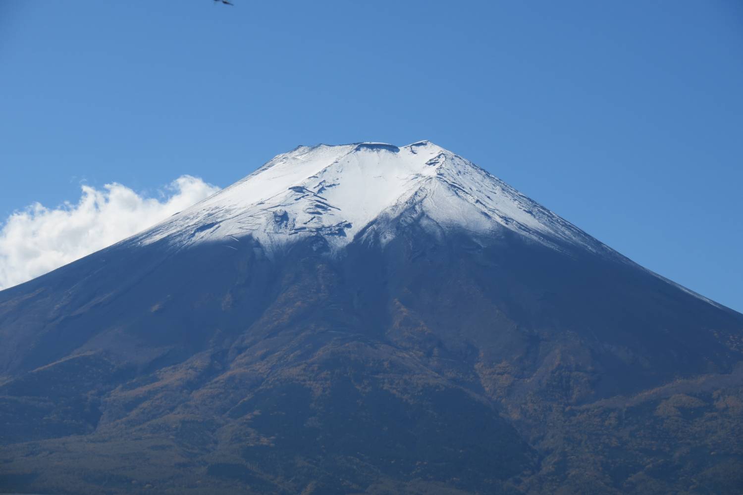 【日本 一人成團系列】新宿出發 富士山五合目、河口湖、忍野八海、御殿場Outlet 1天團