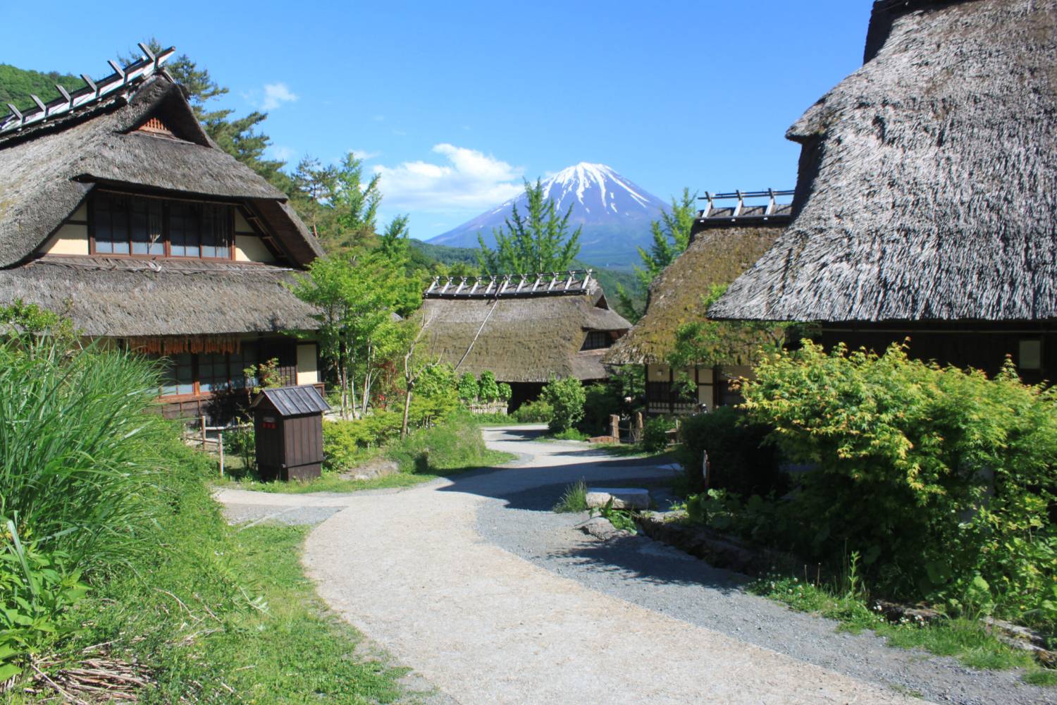 【日本 一人成團系列】富士山河口湖絕景一日遊：新倉山淺間公園＆大石公園＆西湖療癒之鄉 （含山梨名物餺飥）