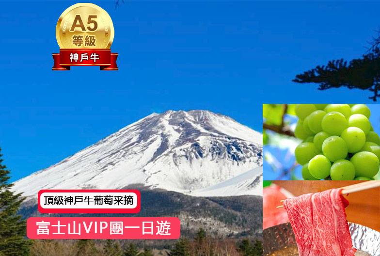 【富士山VIP團一日遊】鳴澤冰穴＆富士五合目｜含頂級和牛神戶牛肉吃到飽 × 香印麝香葡萄採果吃到飽｜新宿出發