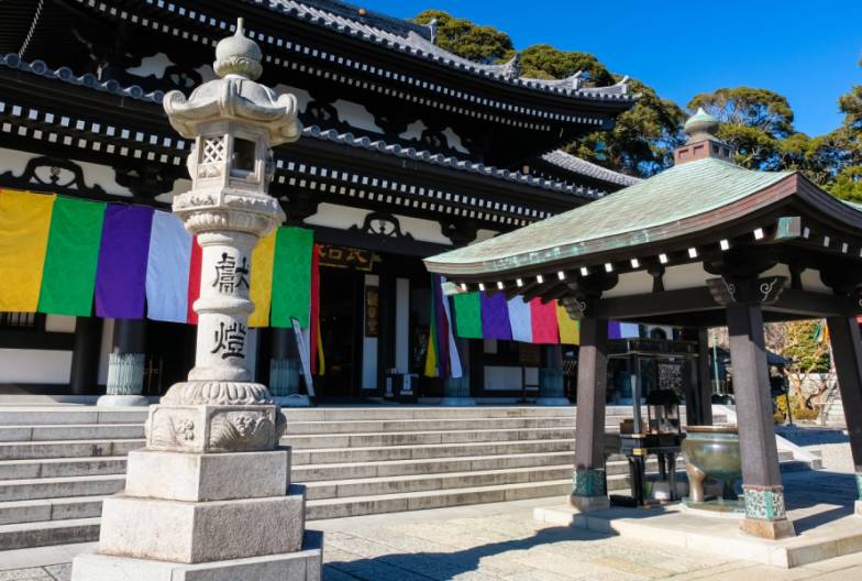 【鎌倉江之島經典一日遊】鶴岡八幡宮＆小町通＆鎌倉大佛＆長谷寺 ｜池袋・新宿出發