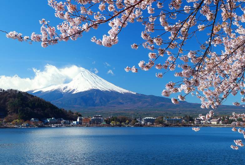【日本 一人成團系列】富士山經典一日遊：富士山五合目＆河口湖＆忍野八海＆御殿場 Outlet｜含山梨名物餺飥｜上野・新宿出發