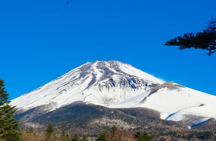 【富士山VIP團一日遊】鳴澤冰穴＆富士五合目｜含頂級和牛神戶牛肉吃到飽 × 香印麝香葡萄採果吃到飽｜新宿出發