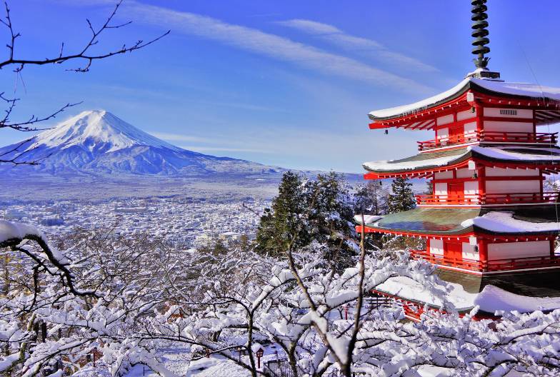 【日本 一人成團系列】富士山河口湖絕景一日遊：新倉山淺間公園＆大石公園＆西湖療癒之鄉