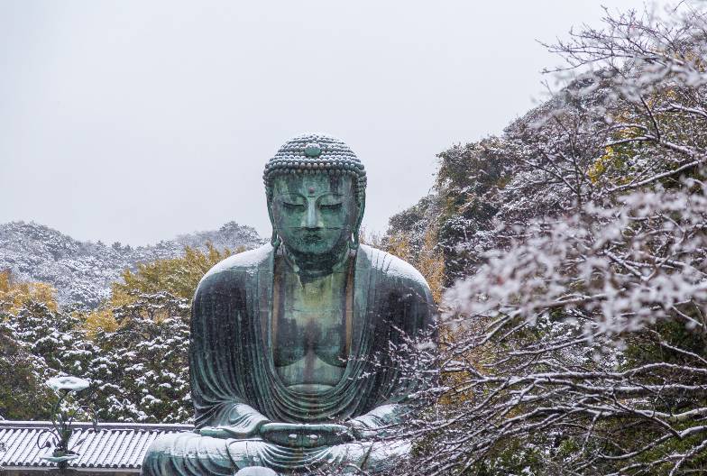 【鎌倉江之島經典一日遊】鶴岡八幡宮＆小町通＆鎌倉大佛＆長谷寺 ｜池袋・新宿出發
